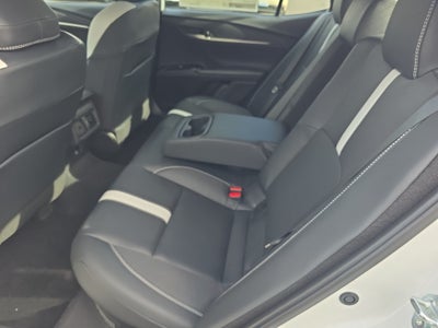 2026 Toyota Camry Hybrid Nightshade